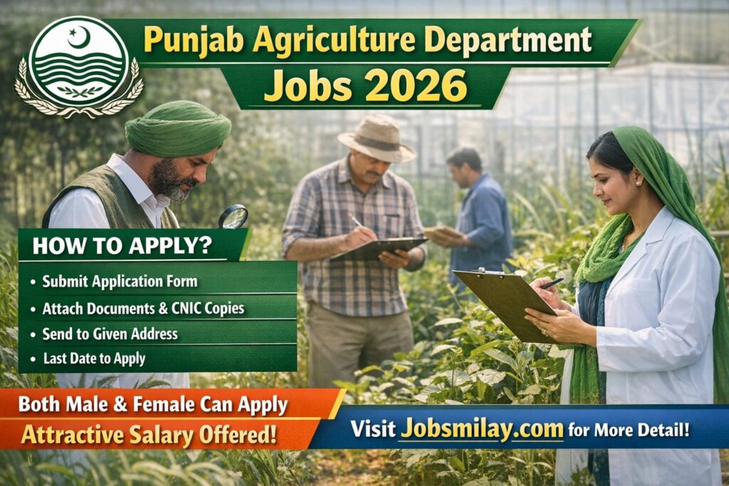 Punjab Agriculture Department Jobs 2026