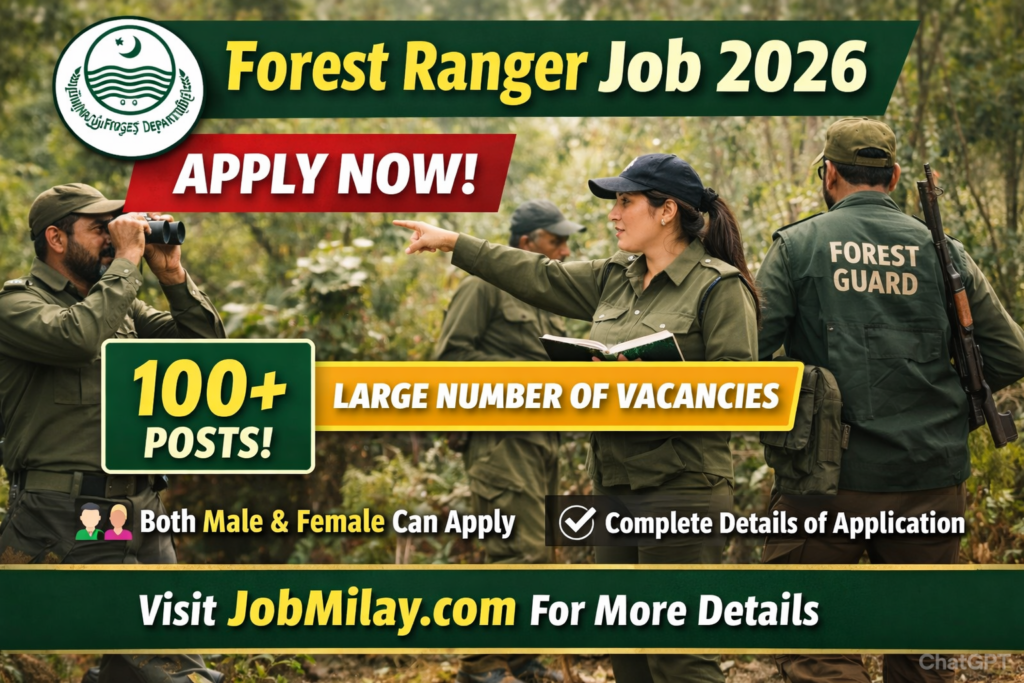 Forest Ranger Jobs 2026 | Online Apply Now